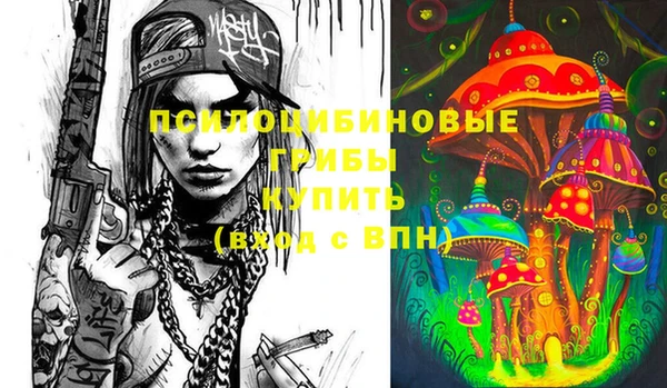 дмт Алексеевка