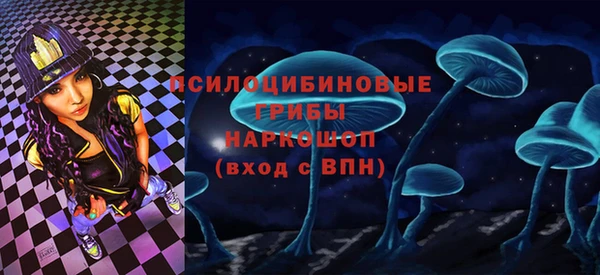 герыч Алексин