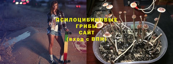 герыч Алексин