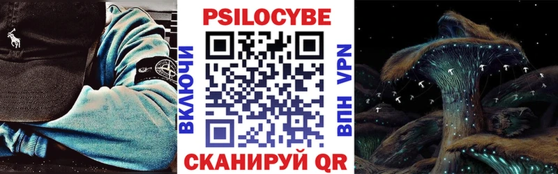 дарк нет клад  Ахтырский  Галлюциногенные грибы Cubensis  хочу наркоту 